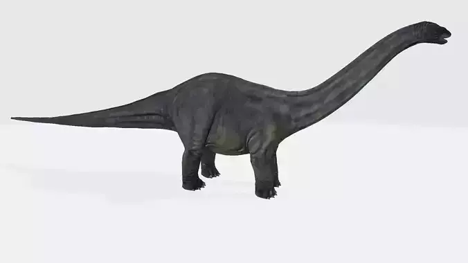 Argentinosaurus dinosaur