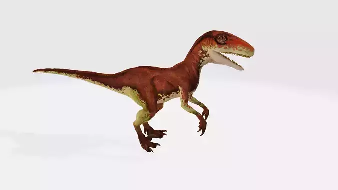Atrociraptor dinosaur