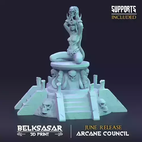 Wizard Darya Choosen of Veil 3D print model
