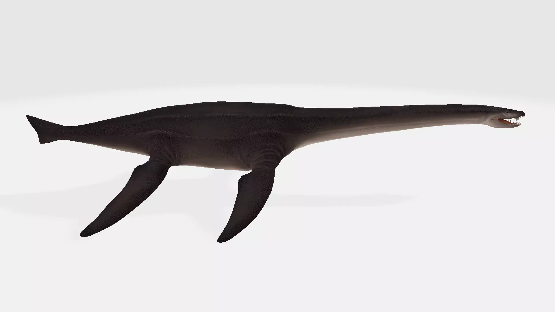 Attenborosaurus dinosaur 3D model_0