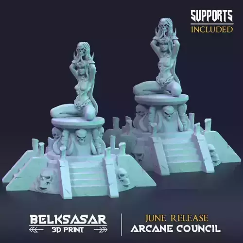 Wizard Darya Choosen of Veil Normal and Nude 3D print model