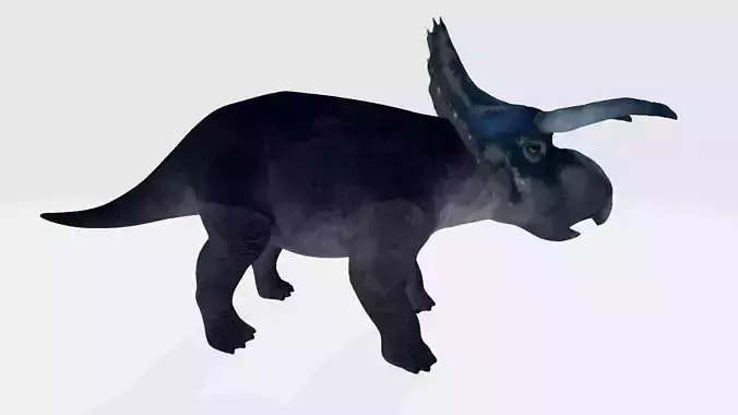 Avaceratops triceratops dinosaur