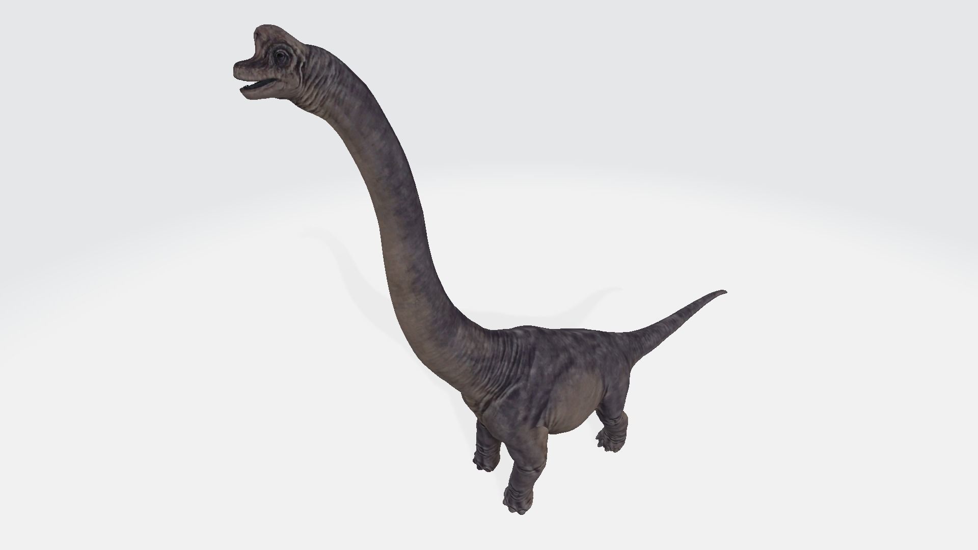 Brachiosaurus dinosaur 3D model_1