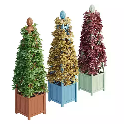 Memphis three potted plants