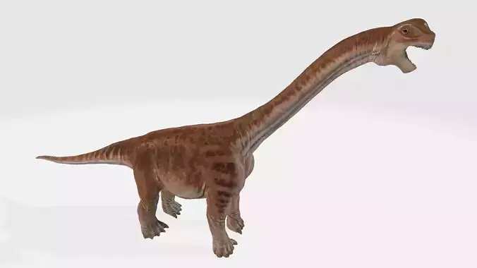 Camarasaurus dinosaur