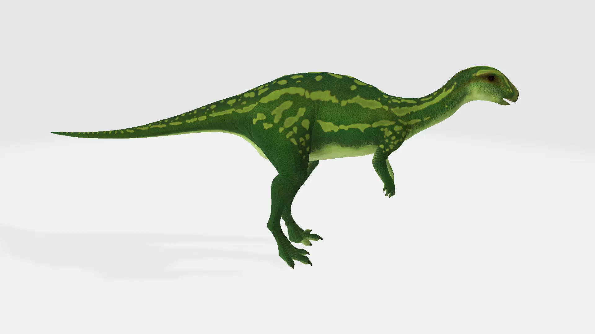 Camptosaurus dinosaur 3D model_0