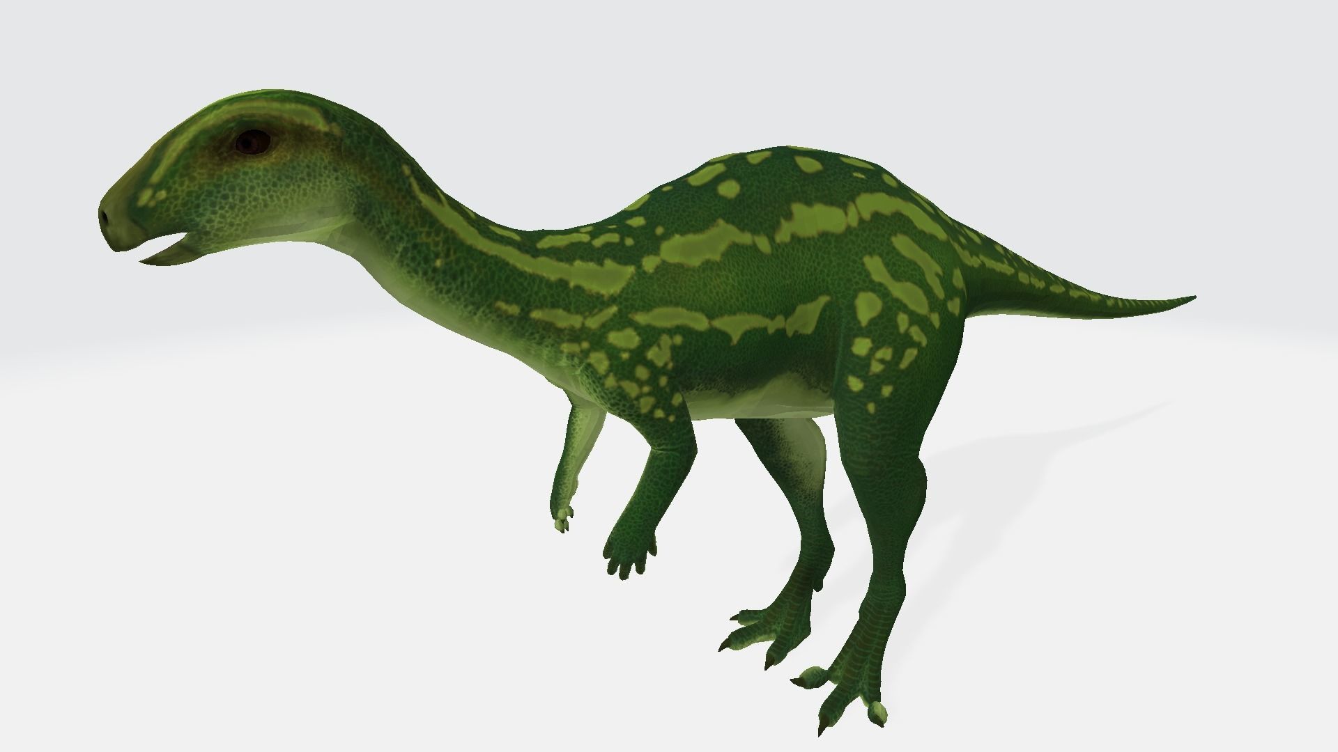 Camptosaurus dinosaur 3D model_1