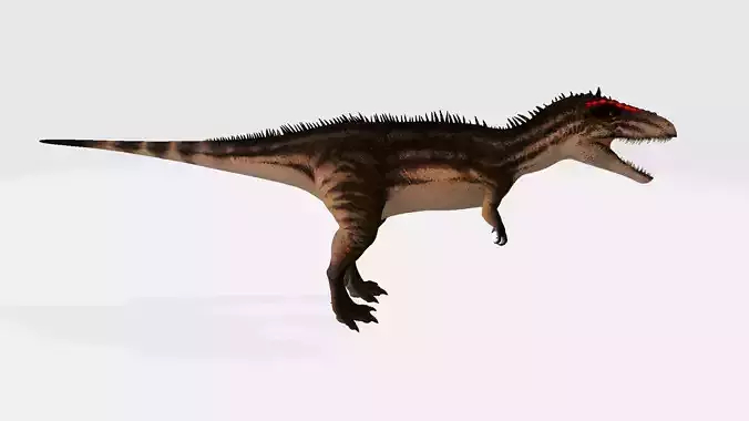 Carcharodontosaurus dinosaur