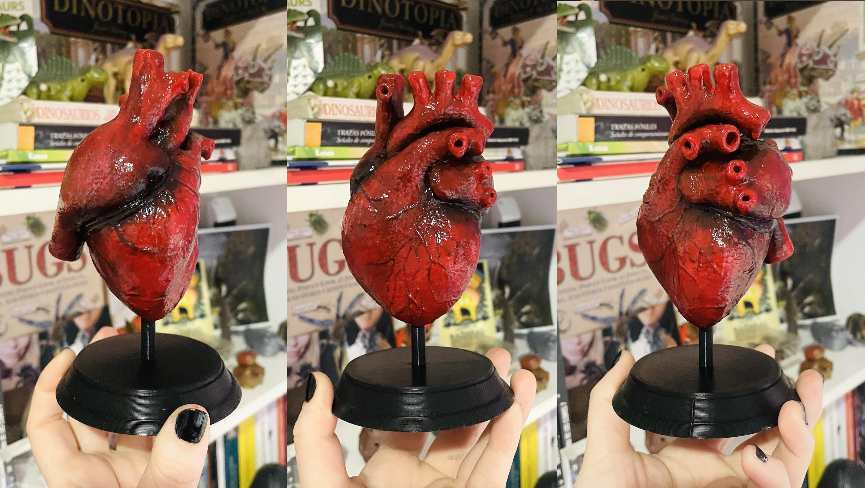 Anatomical Human Heart 3D print model_5