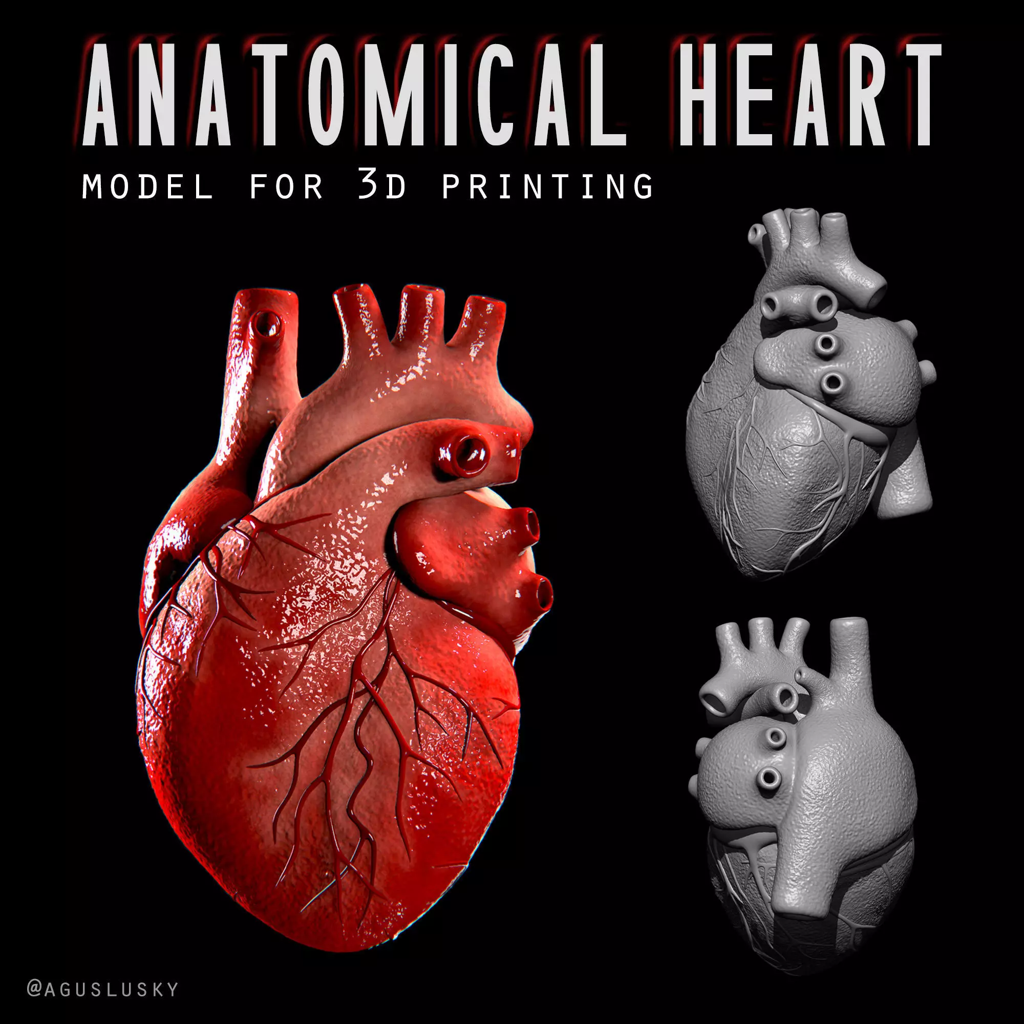 Anatomical Human Heart 3D print model_0