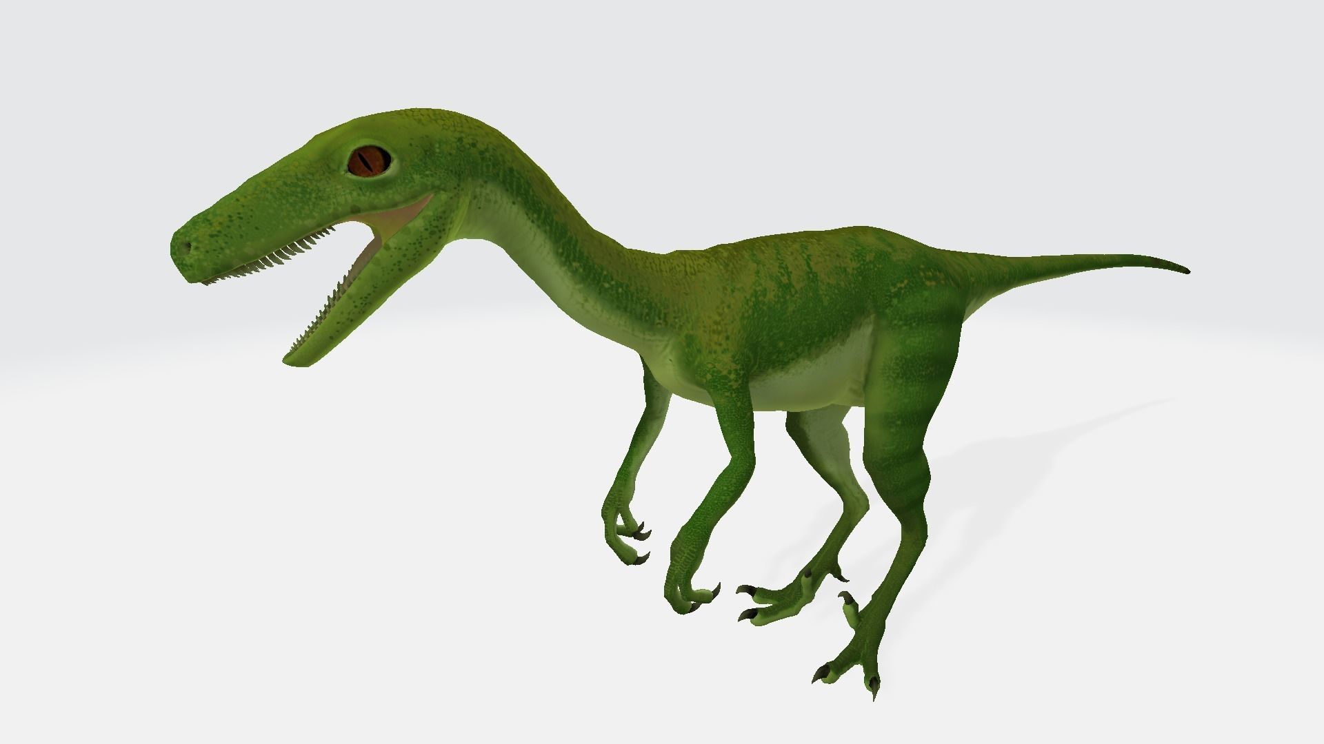 Coelophysis dinosaur 3D model_1
