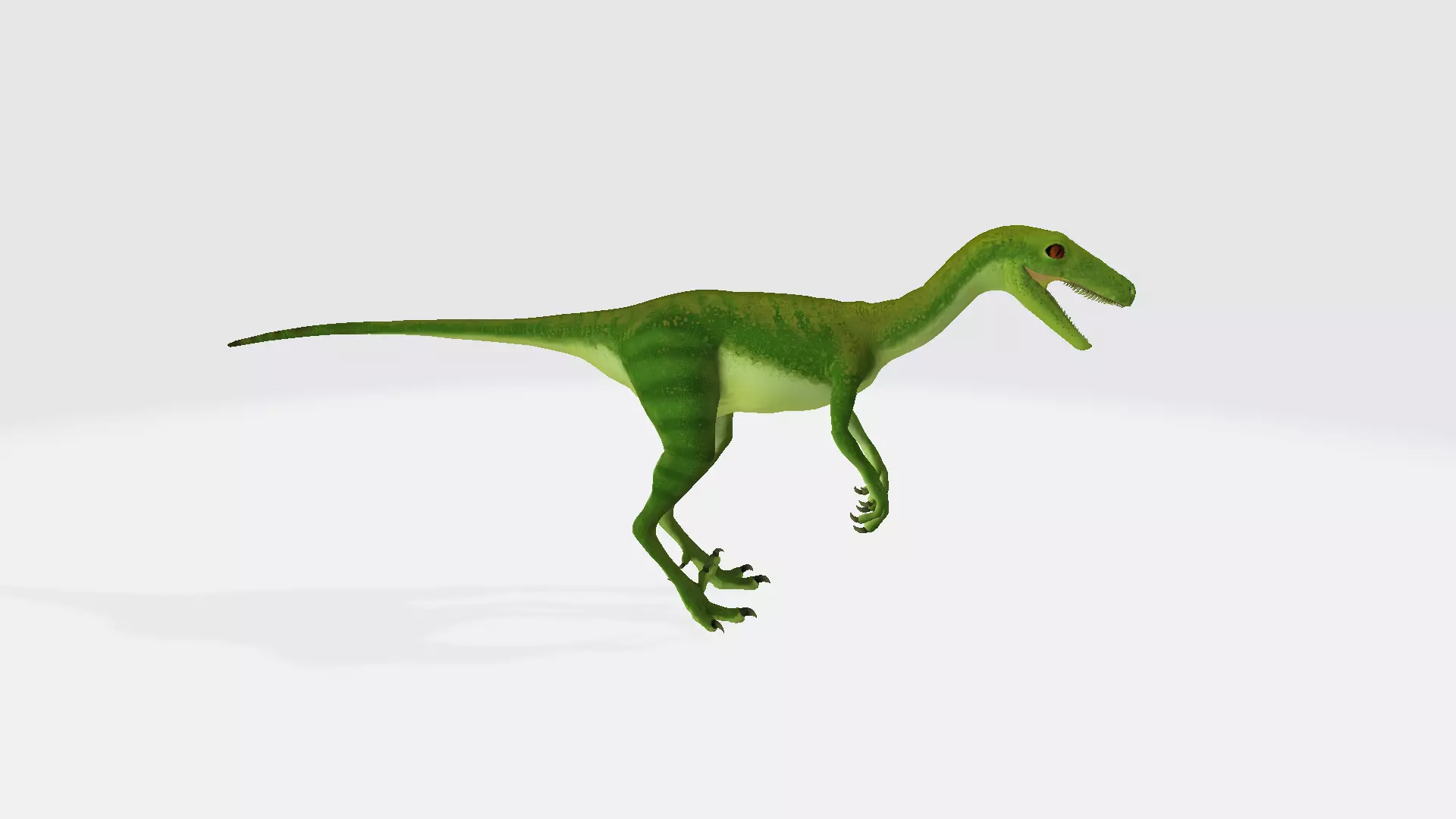 Coelophysis dinosaur 3D model_0