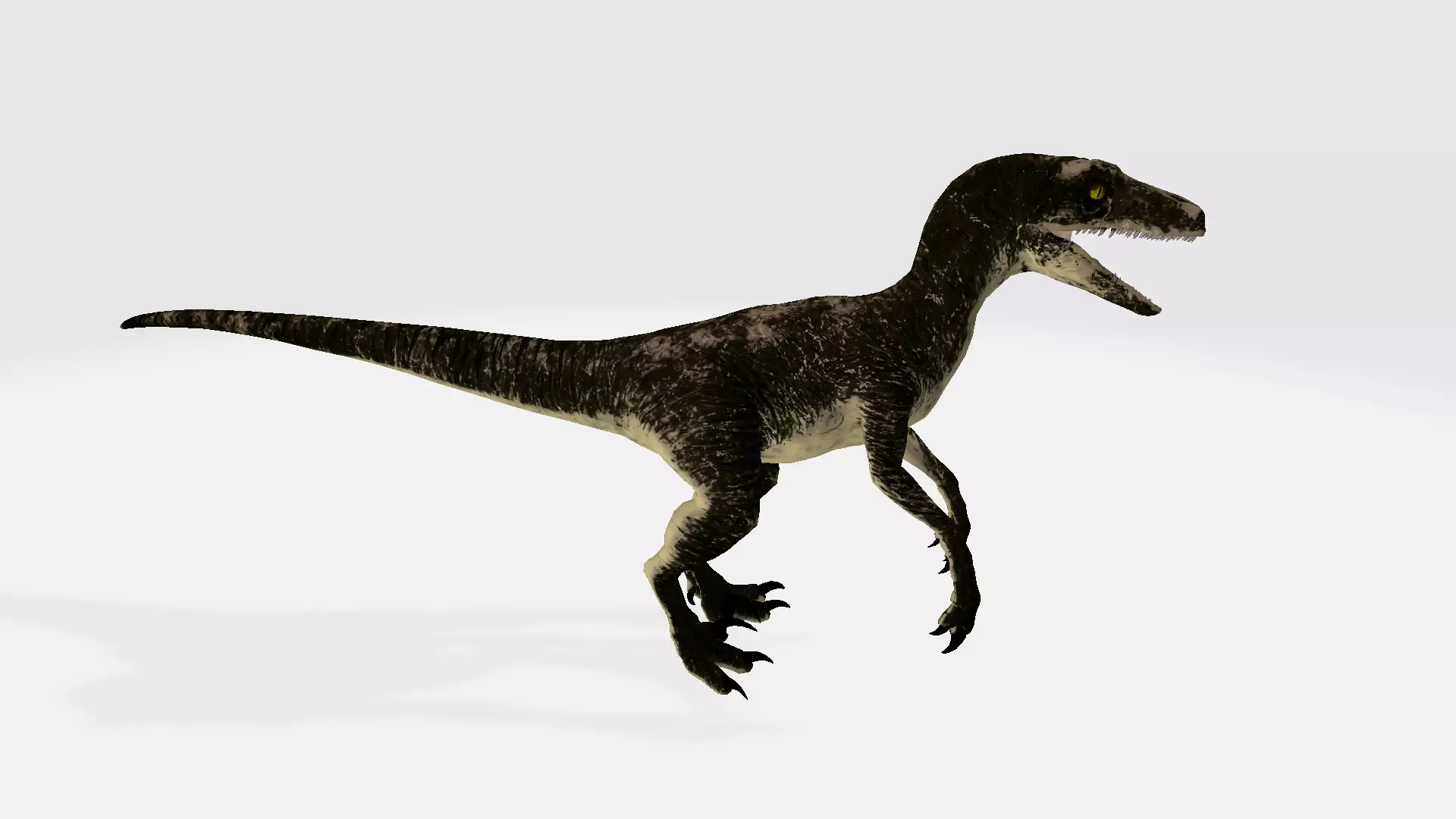 Dakotaraptor dinosaur 3D model