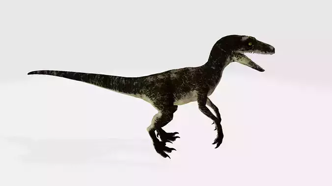 Dakotaraptor dinosaur