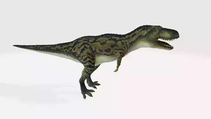 Daspletosaurus t - rex dinosaur