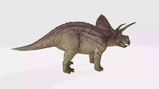 Diceratops dinosaur