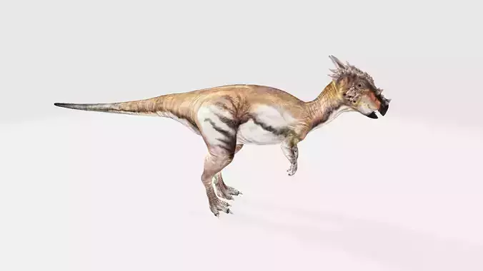 Dracorex dinosaur