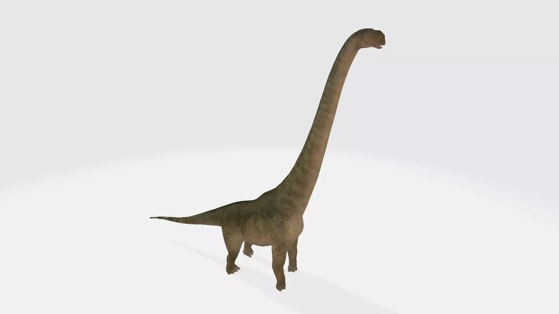Dreadnoughtus dinosaur 3D model