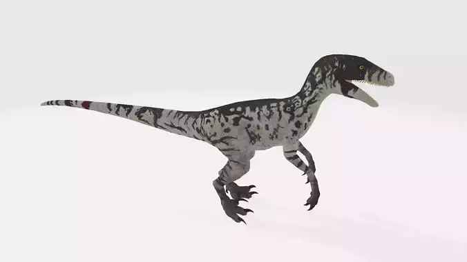 Dromaesaurus dinosaur