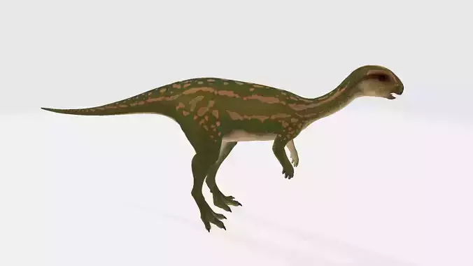 Dryosaurus dinosaur