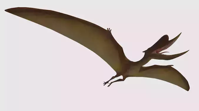 Dsungaripterus dinosaur flying