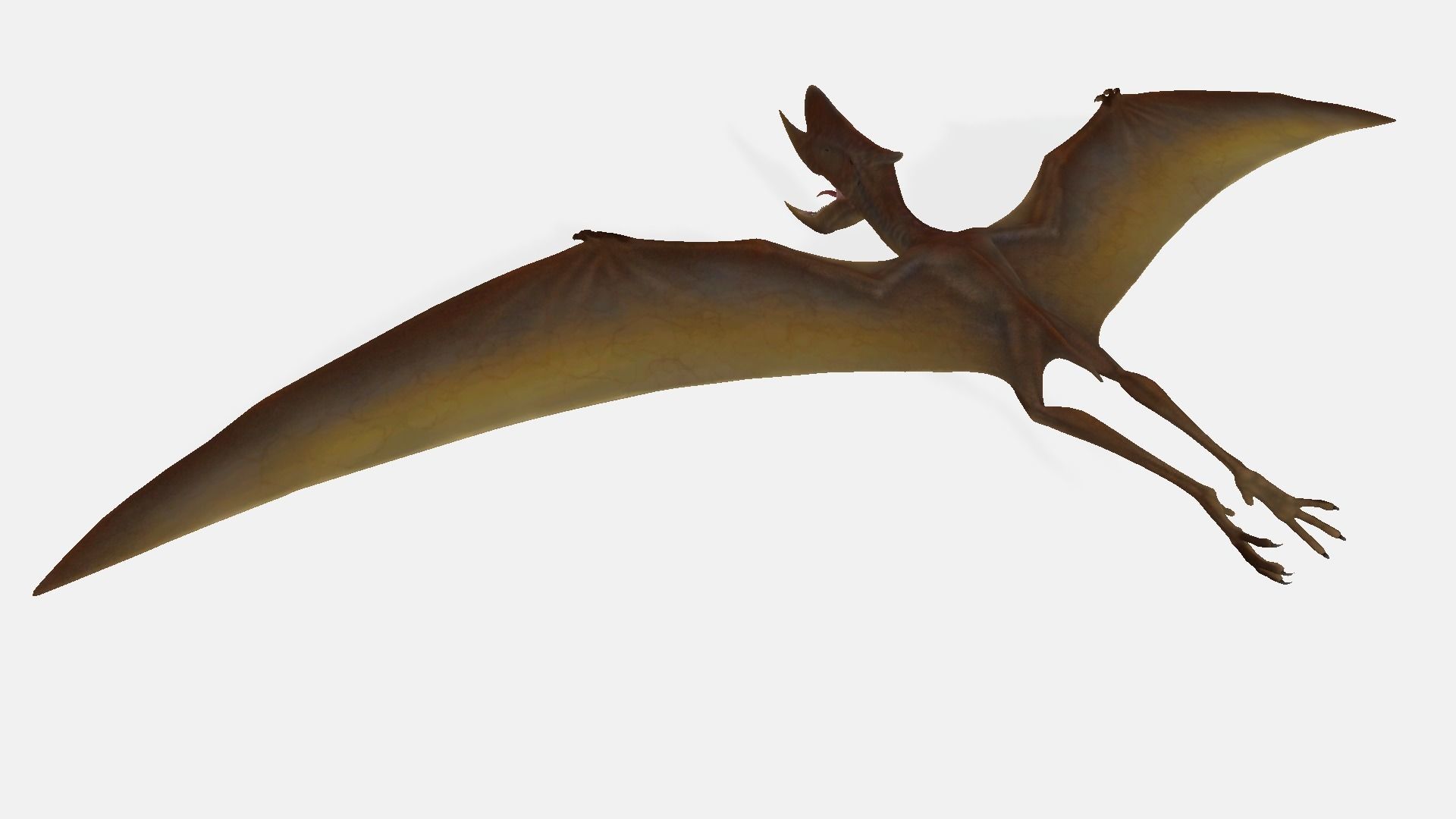 Dsungaripterus dinosaur flying 3D model_1