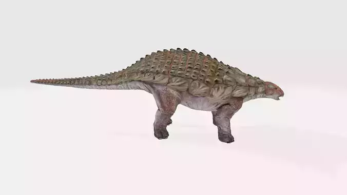 Edmontonia dinosaur