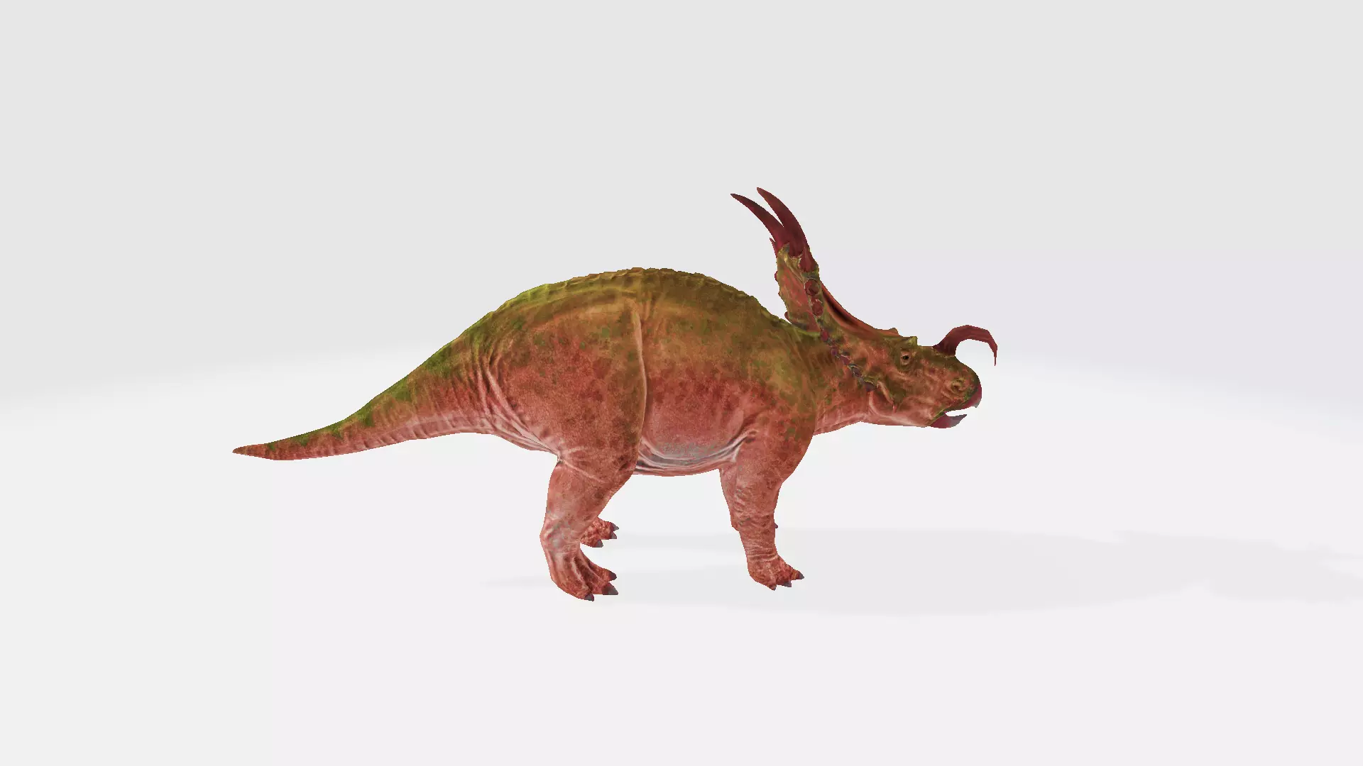 Einiosaurus dinosaur 3D model_0