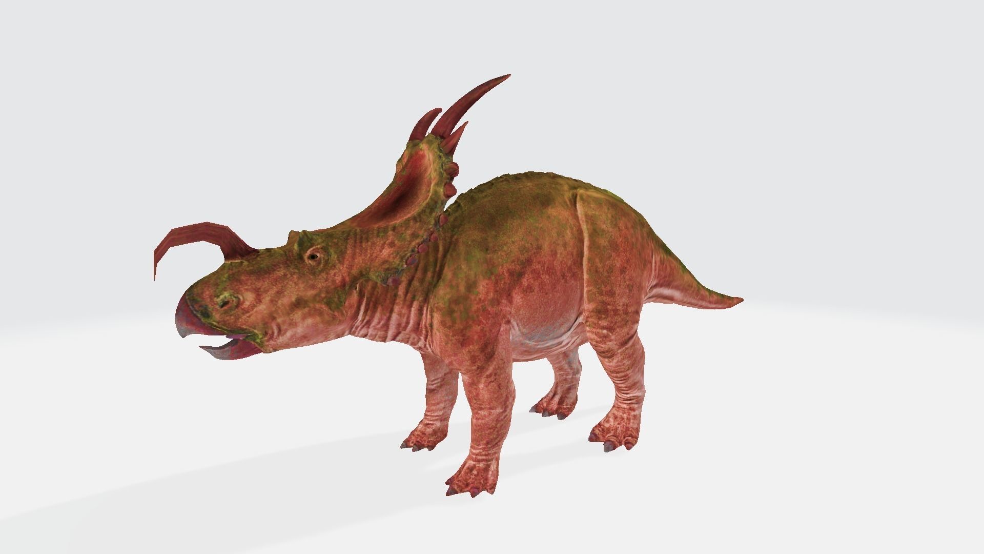 Einiosaurus dinosaur 3D model_1