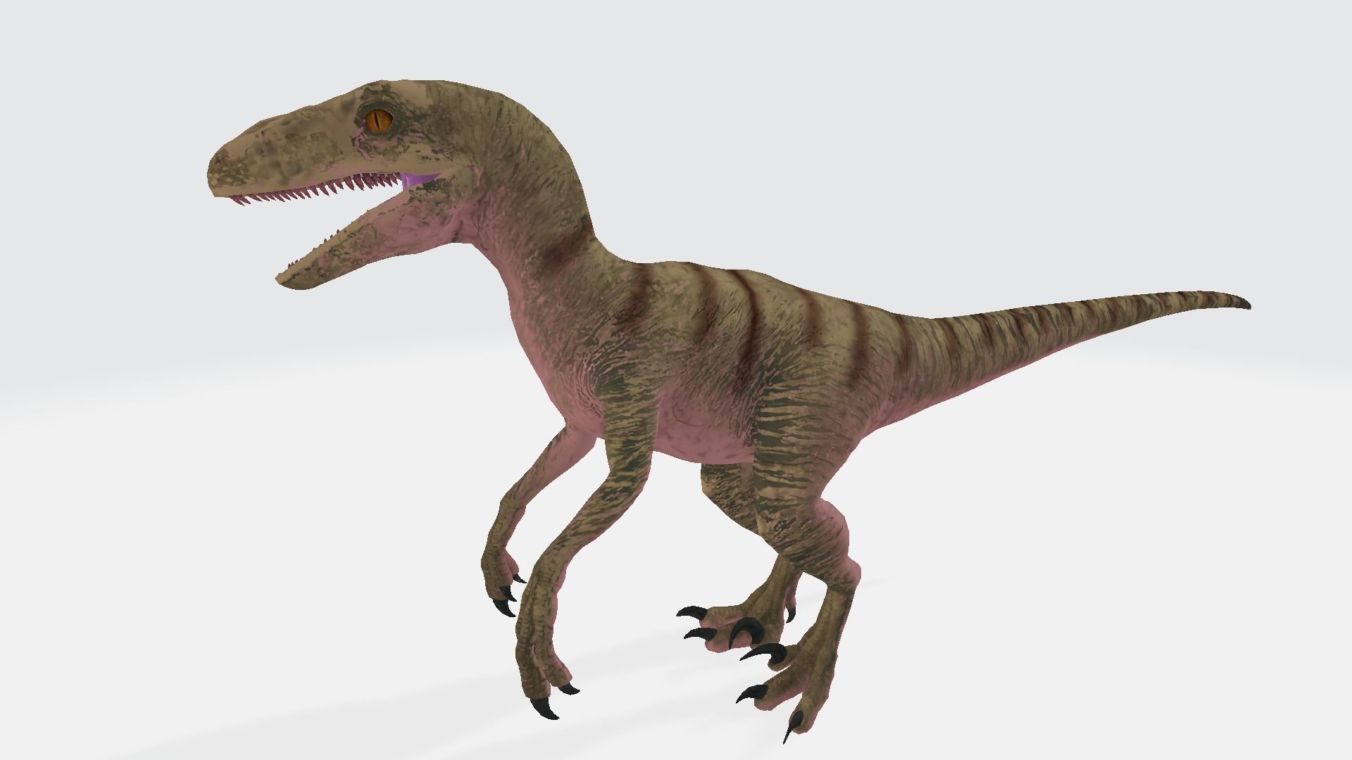Eoraptor dinosaur 3D model_1