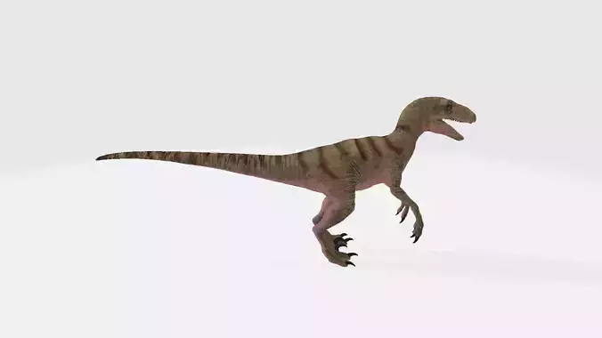 Eoraptor dinosaur