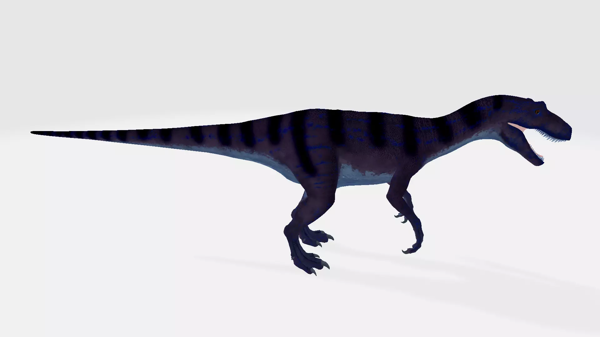 Fukuiraptor tyrannosaurus dinosaur 3D model_0