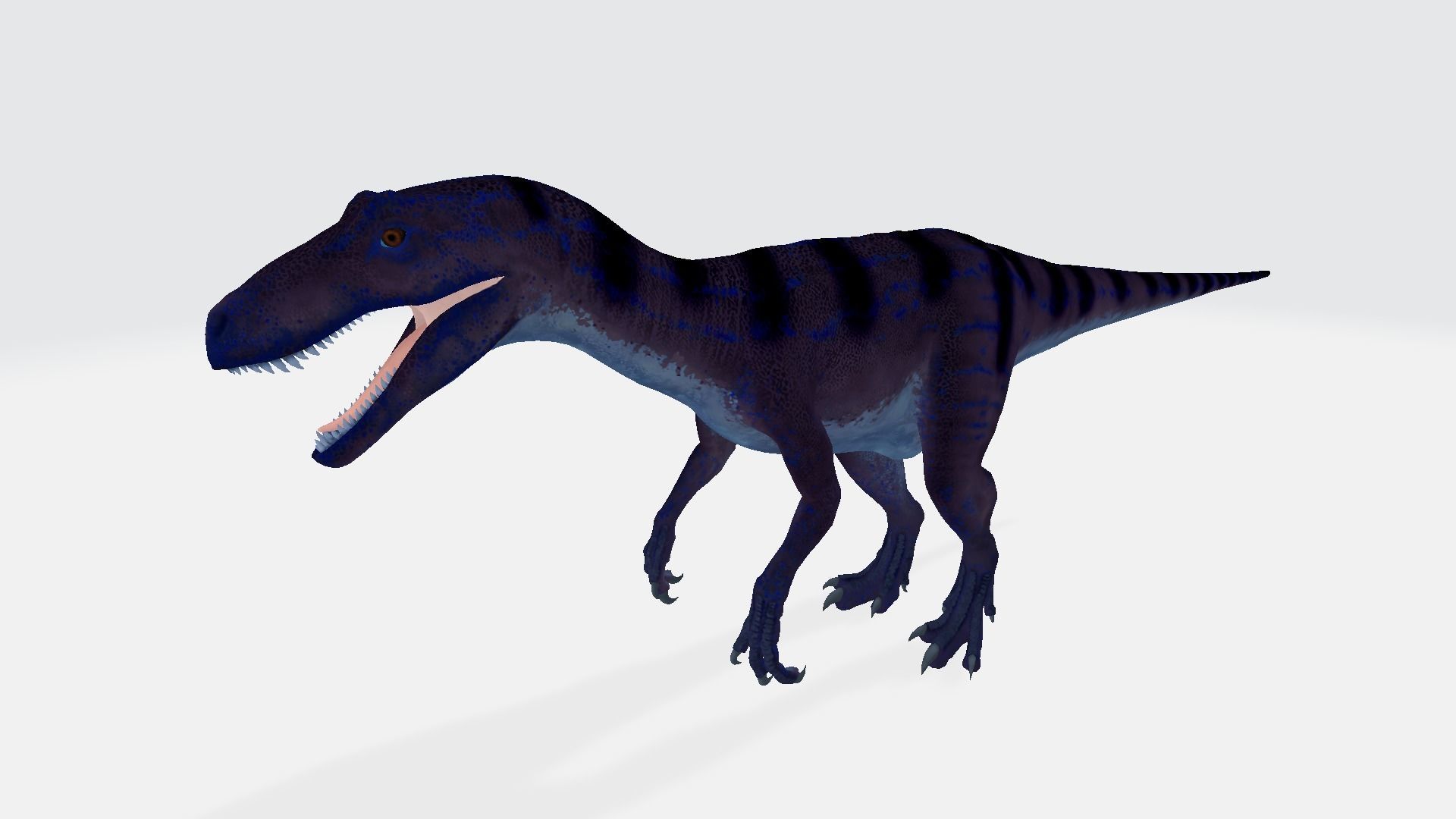 Fukuiraptor tyrannosaurus dinosaur 3D model_1