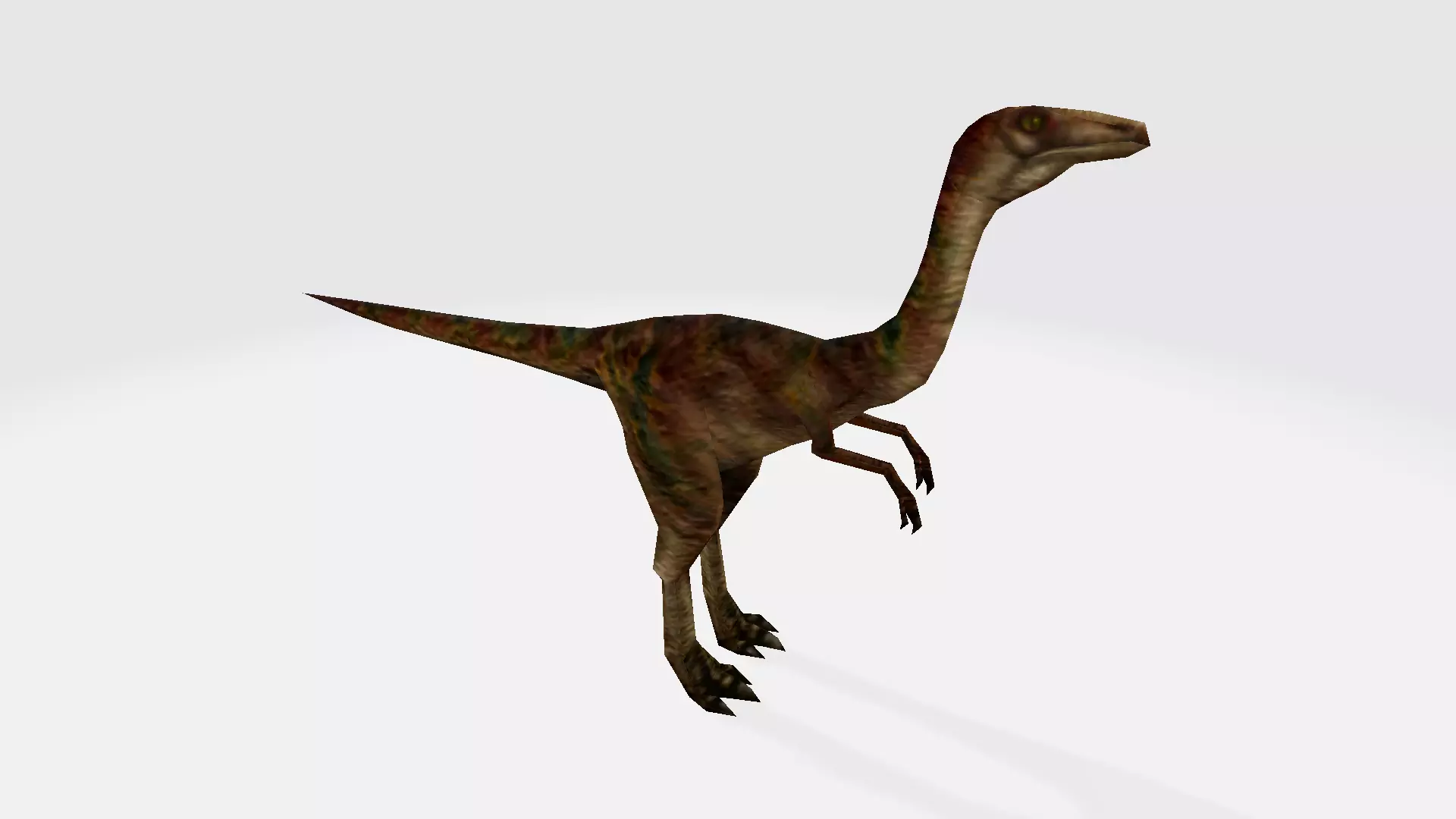 Galimimus dinosaur 3D model_0