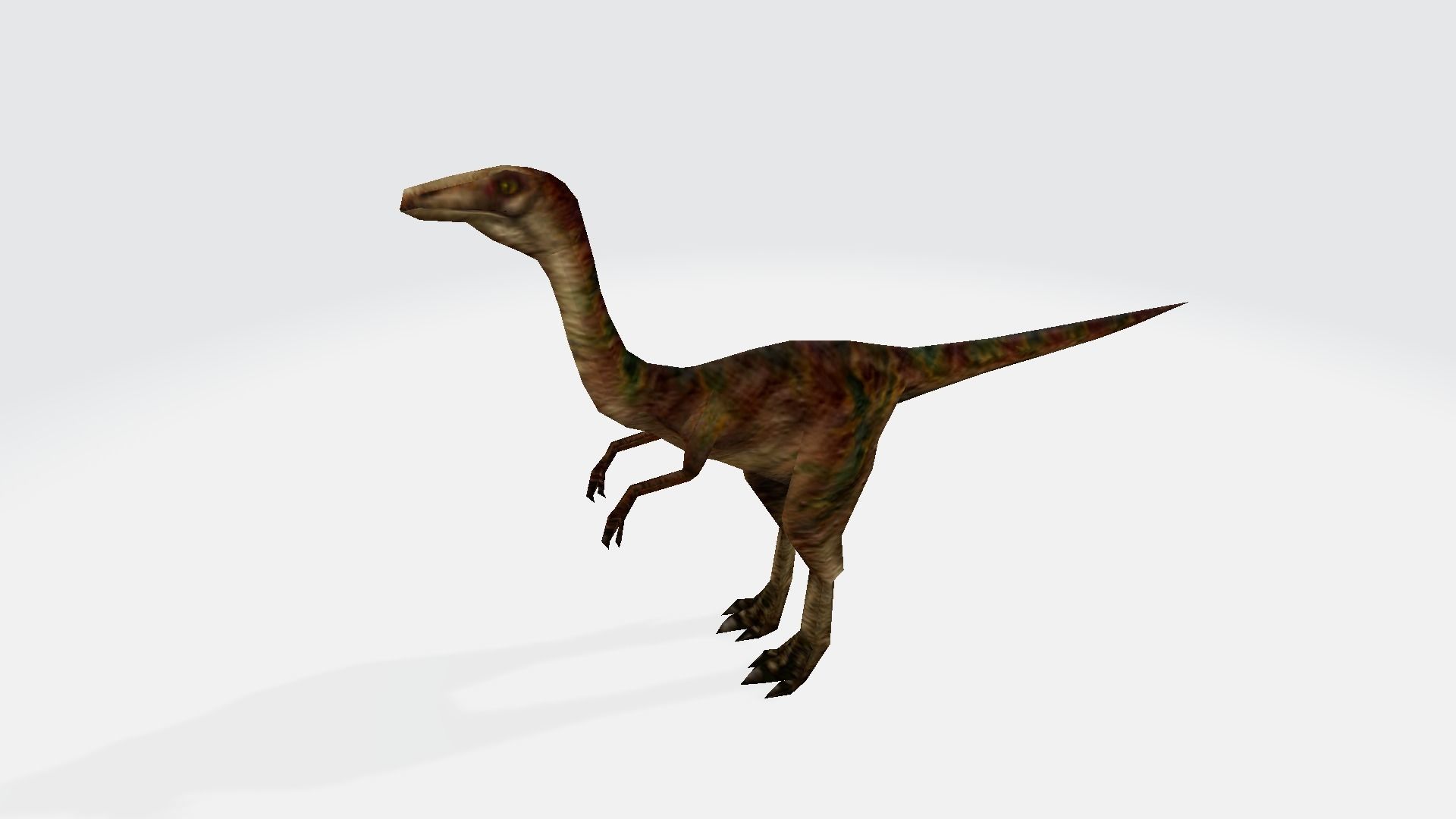 Galimimus dinosaur 3D model_1
