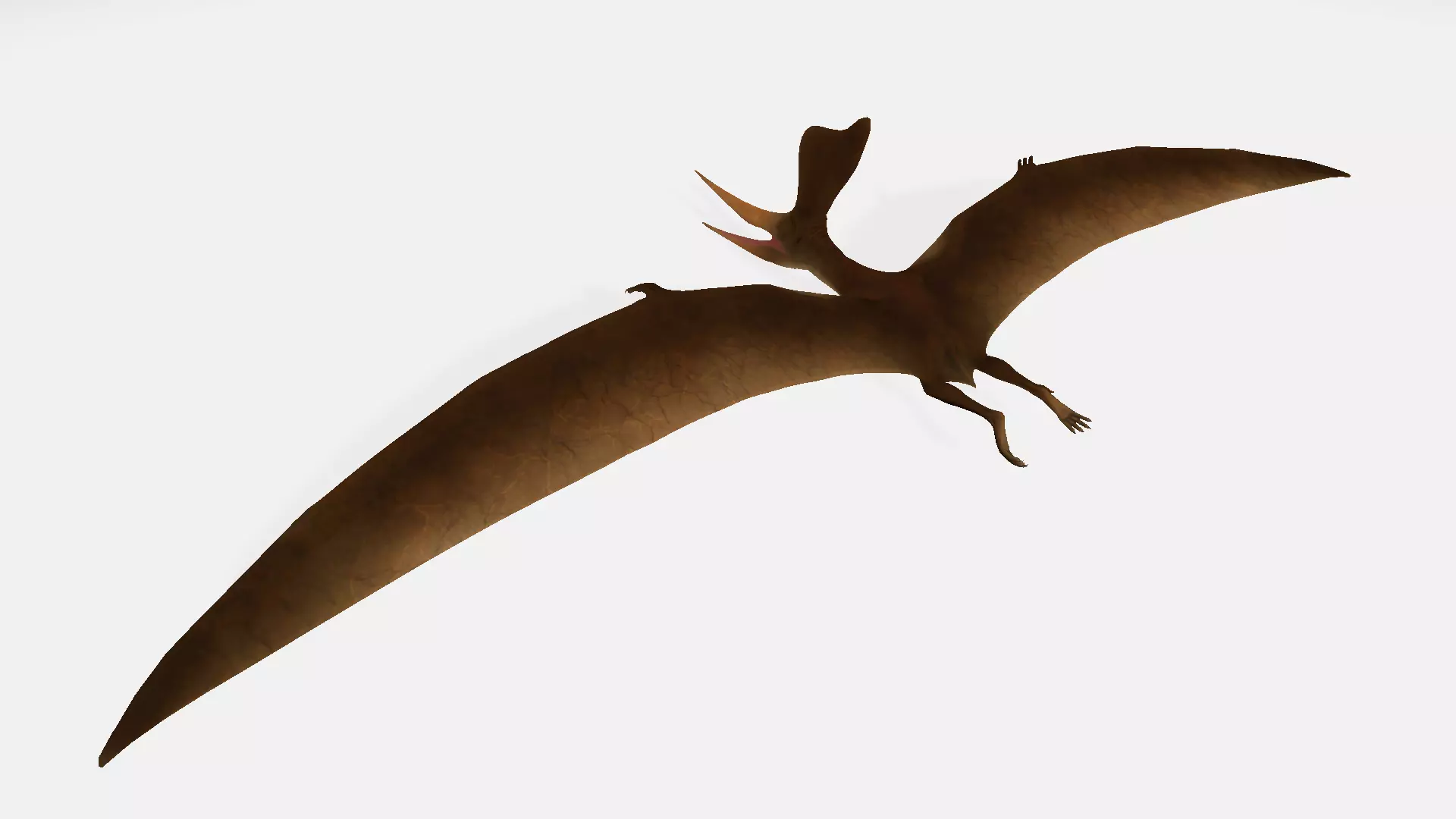 Geosternbergia dinosaur flying in air 3D model_0