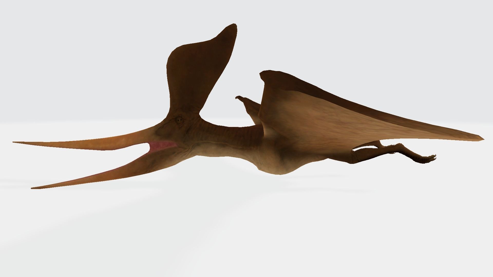 Geosternbergia dinosaur flying in air 3D model_1