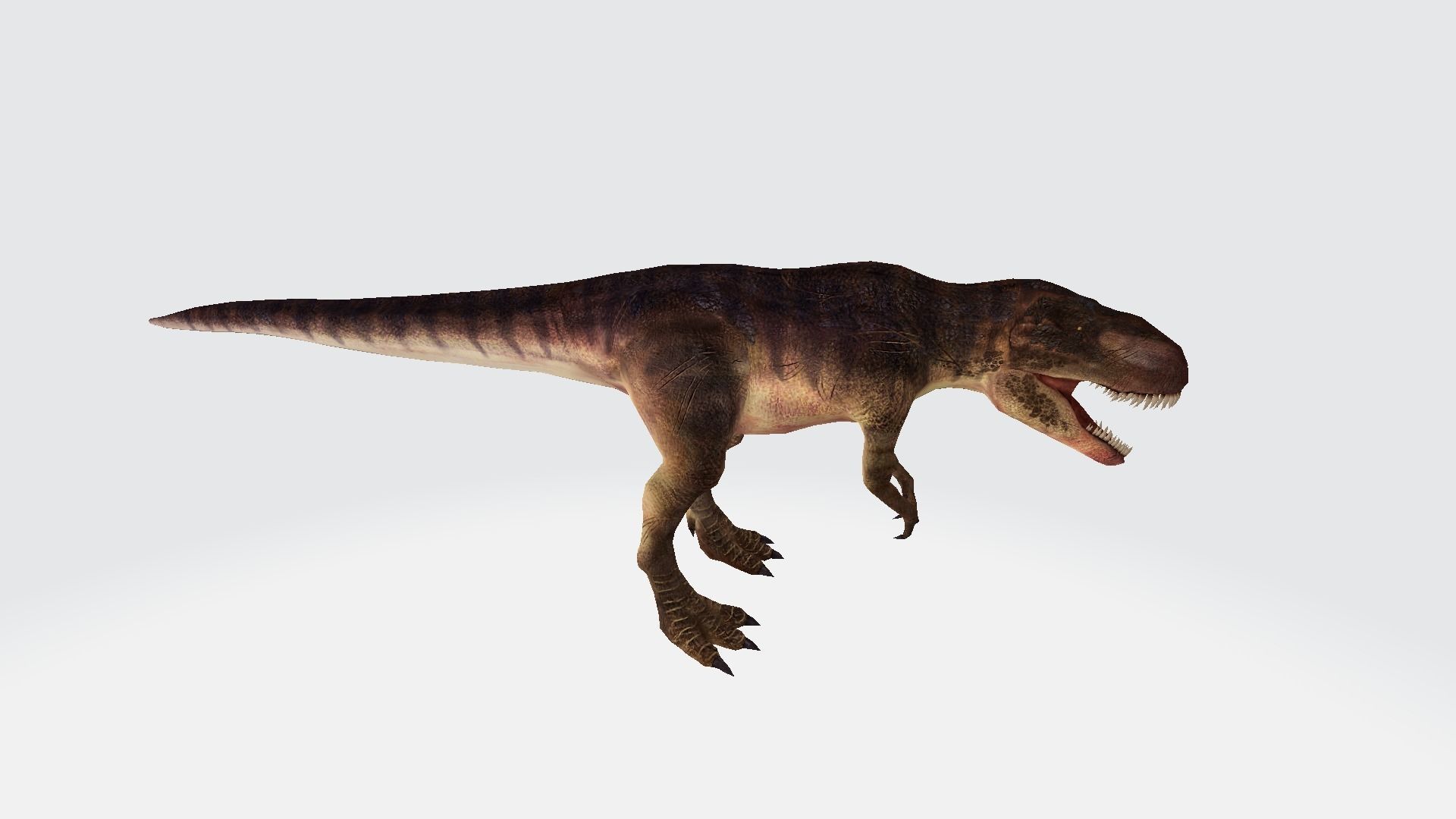 Giganotosaurus t - rex dinosaur 3D model_1