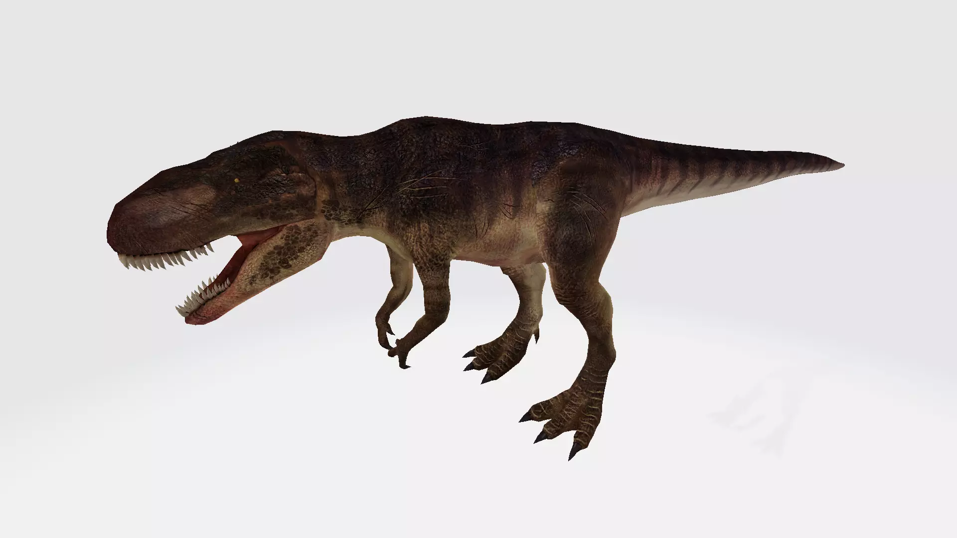 Giganotosaurus t - rex dinosaur 3D model_0