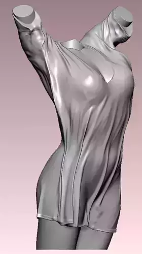 Vase pot  Wet cloth Torso