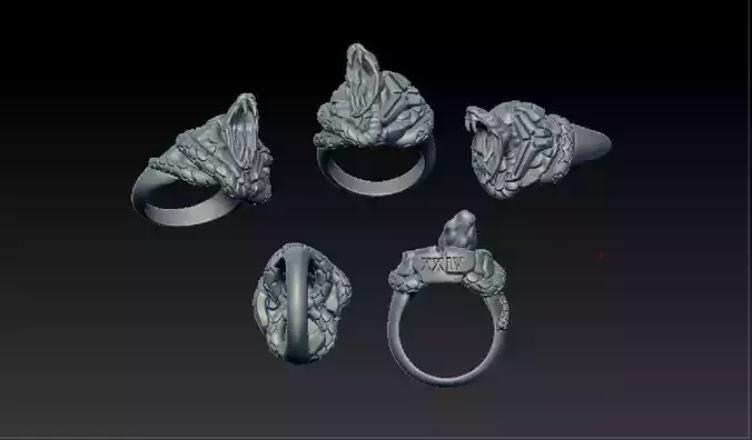 mamba ring