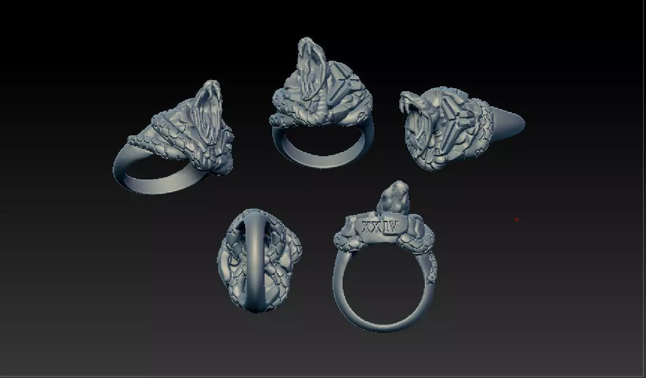 mamba ring 3D print model_0