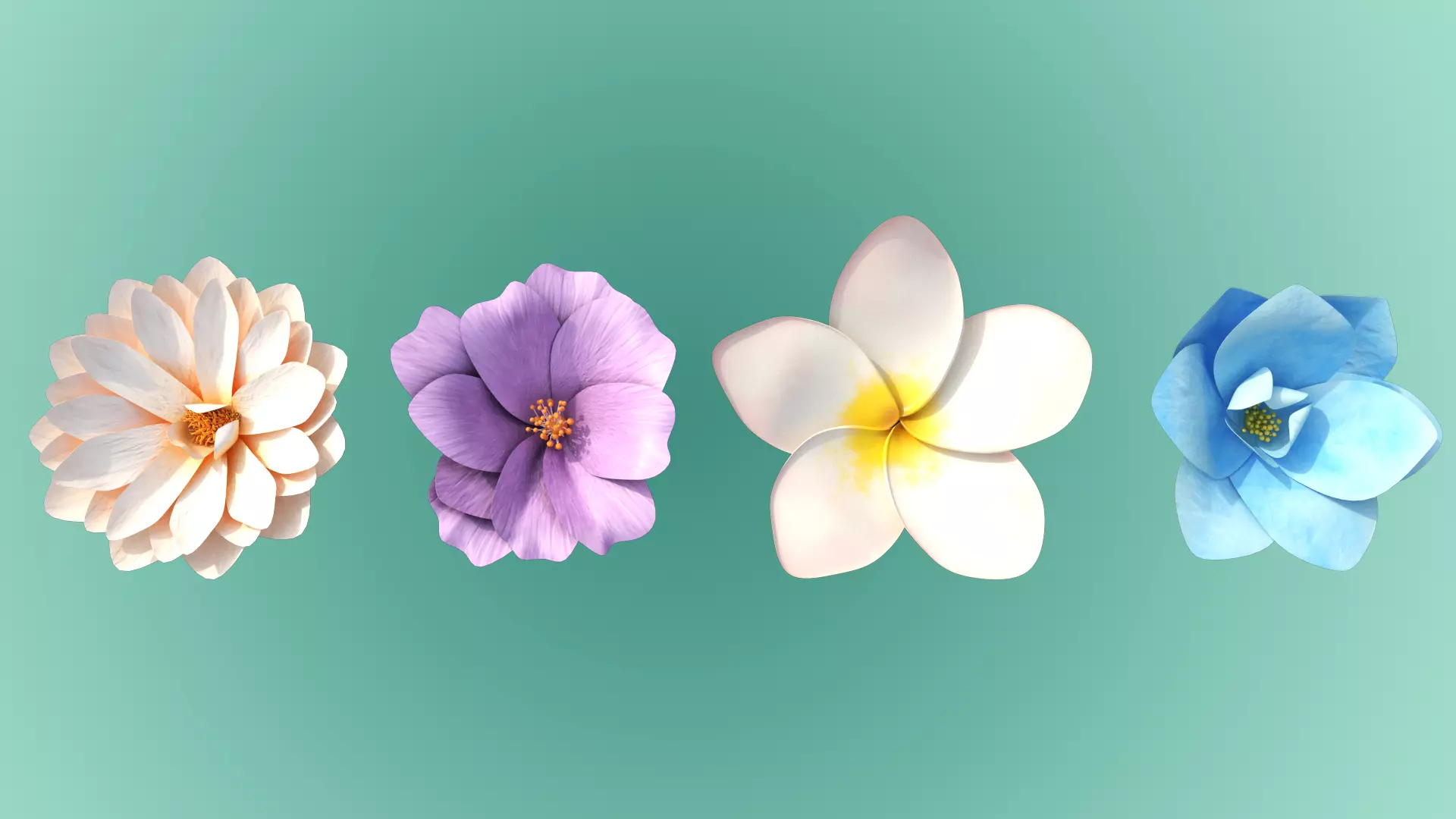 4 Flowers Package 3D model_0