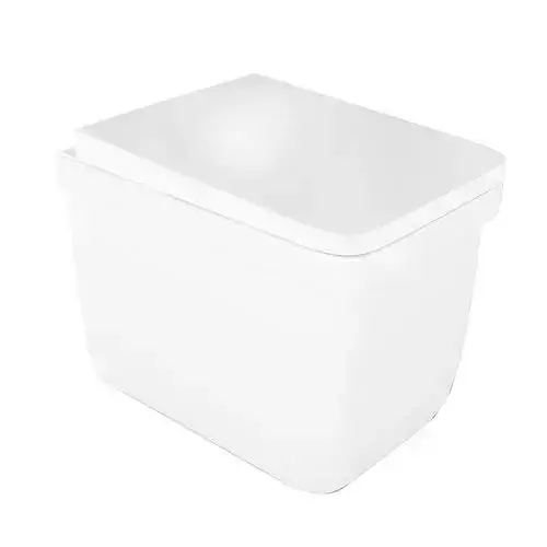 Modern White Toilet Bowl