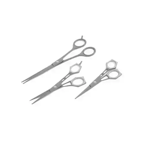 Modern Beauty Parlor Shears