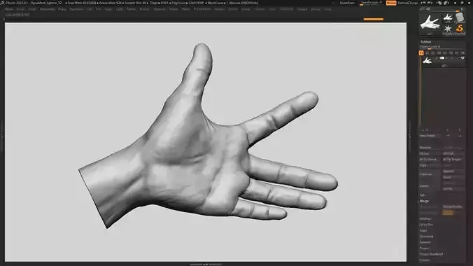 Hand pose 15 3d print model