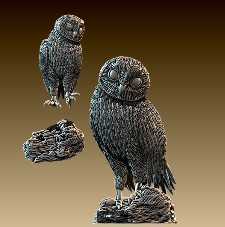 Owls birds 3D Model Collection_11