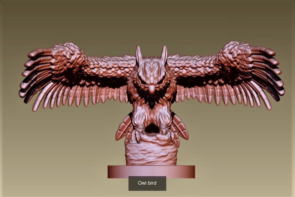 Owls birds 3D Model Collection_7