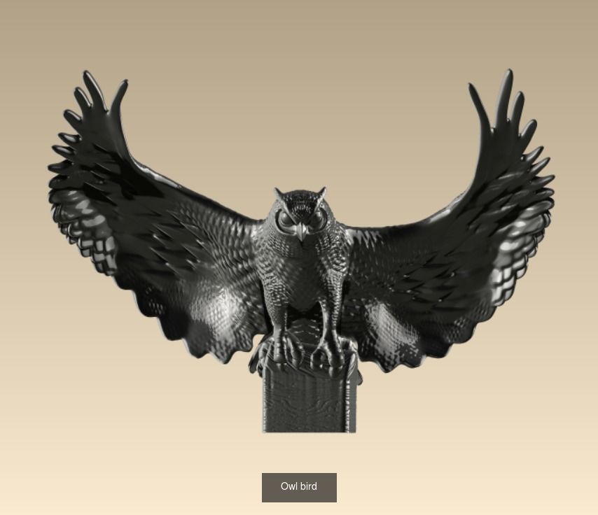 Owls birds 3D Model Collection_9