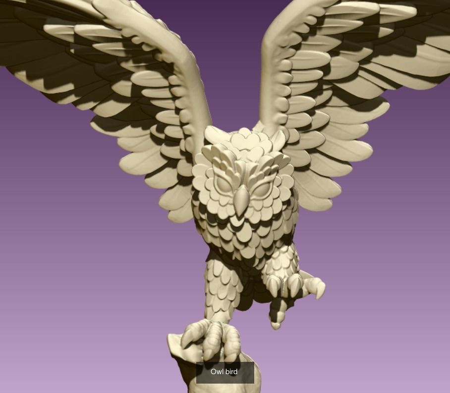 Owls birds 3D Model Collection_6
